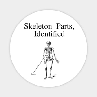 Skeleton Parts Identified Magnet